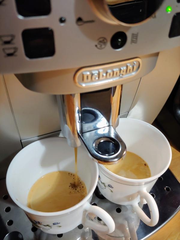 Delonghi Magnifica XS Compact Fully Automatic Espresso Machine and  Cappuccino Maker- ECAM22110SB