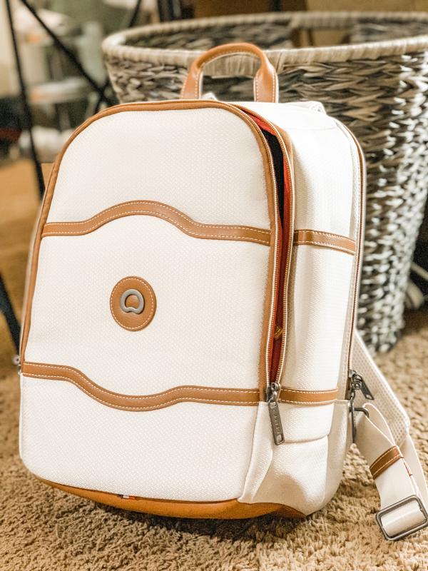 delsey parvis backpack