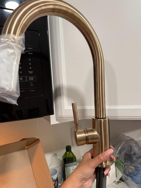 Single Handle Pull-Down Kitchen Faucet with Soap Dispenser 19933