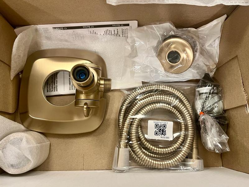 Delta Ashlyn In2ition 1-Handle Wall Mount Shower Faucet Trim Kit
