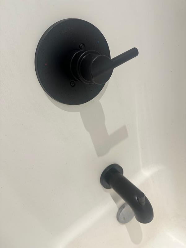 Monitor 14 Series H2Okinetic Tub and Shower 144749-SS Monitor 14 Series H2Okinetic Tub and Shower 144749-SS