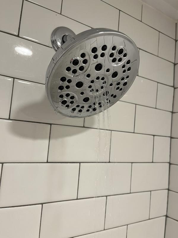 6-Setting Hand Shower with Cleaning Spray in Chrome 75720D