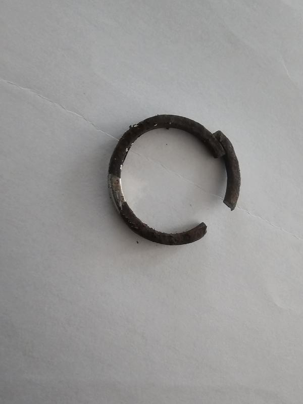 Magnetic ring