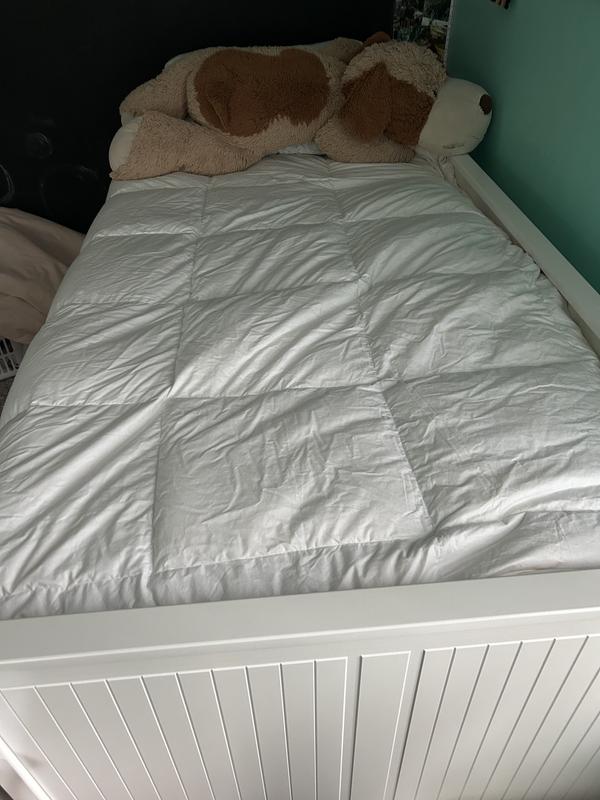 my new comforter