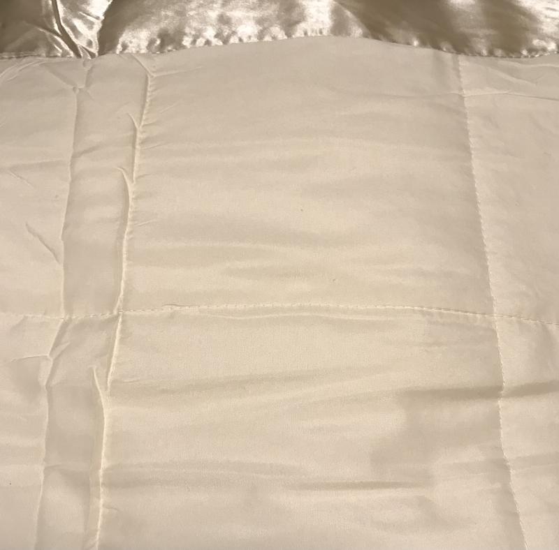 Madison Park Windom Down Alternative Blanket in Cream.