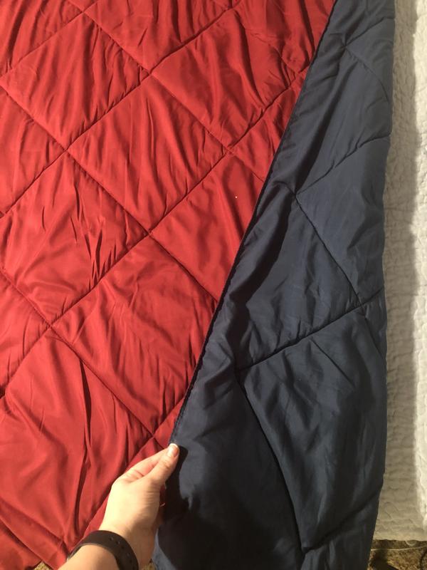 Madison Park Essentials Larkspur Down Alternative Comforter Mini Set