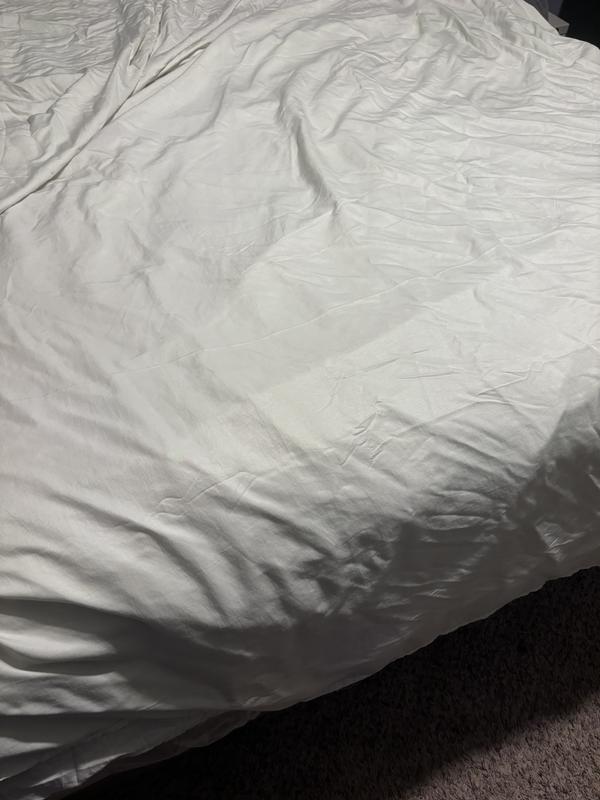 The flat sheet