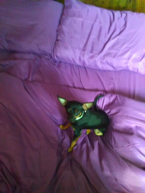 Nice sheets