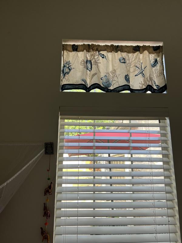 Provides shade from the morning sunshine