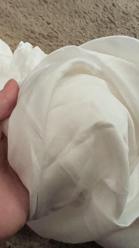 Photo from adriannec8_8842