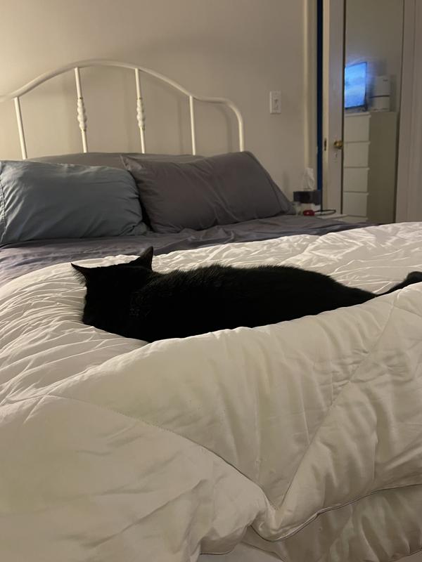 First time on these to check the size.