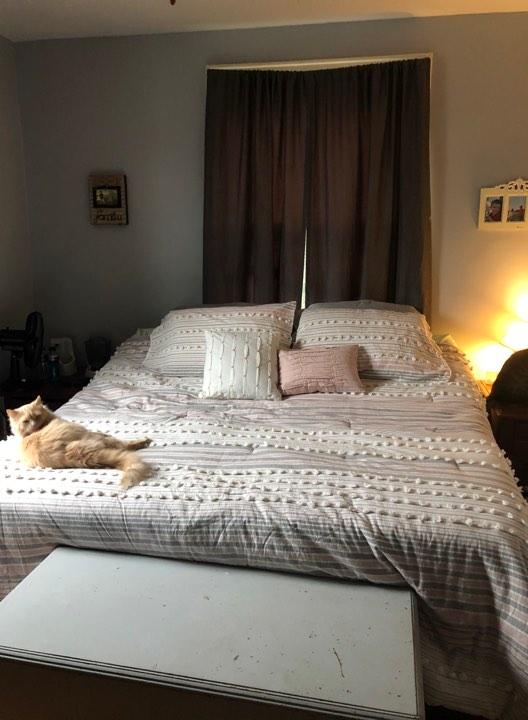 So nice even our cats love it!