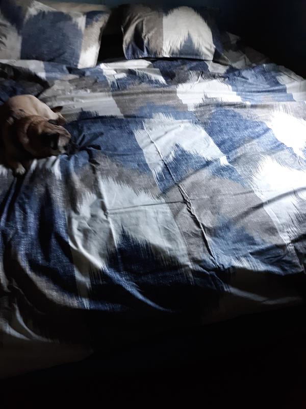 I have the Alpine three-piece duvet cover mini set in full / Queen Navy and it's absolutely gorgeous on my bed with my little dog she loves it obviously
