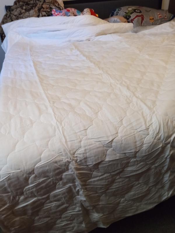 Sleep philosophy wonder discount wool down alternative blanket