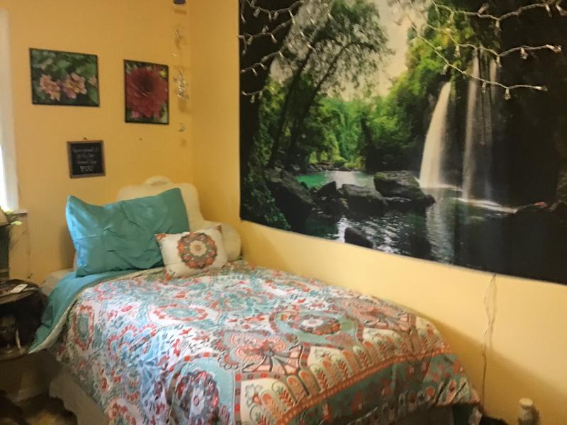 New Bedding