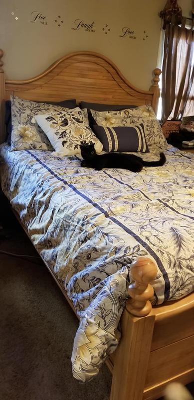 cat likes it