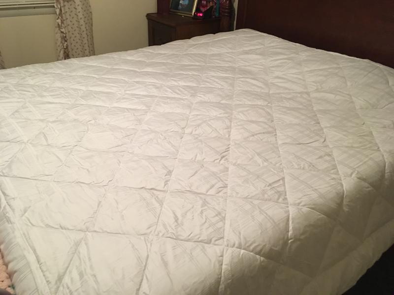 This is my gorgeous free All Season Cotton Rich Down Alternative Comforter that will be keeping me warm this winter!