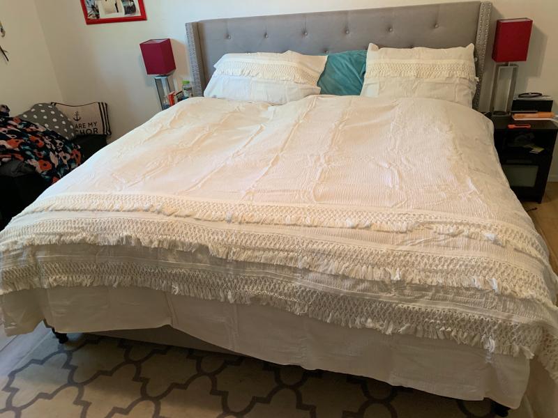 Madison Park Amaya Bedding Collection 