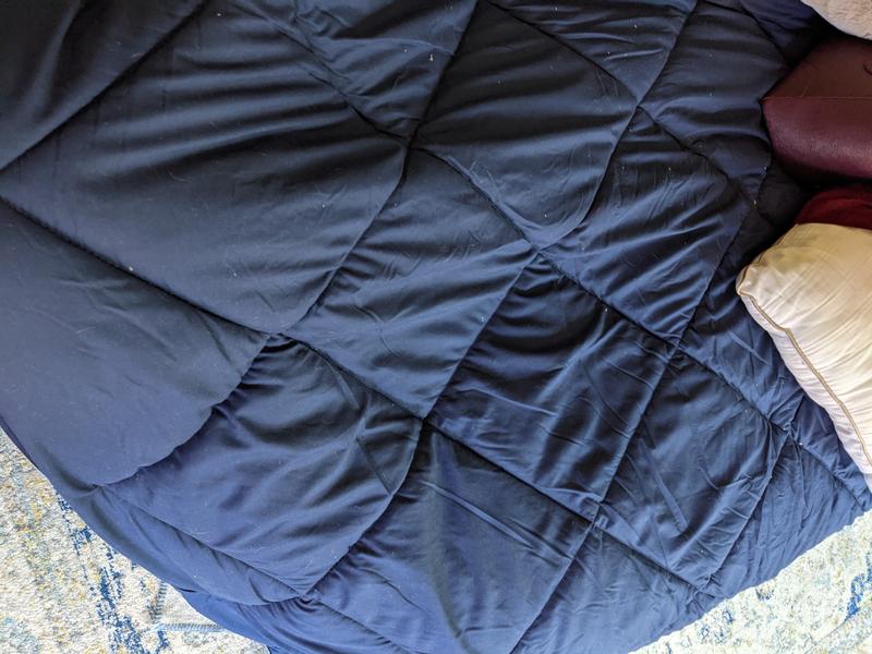 Madison Park Essentials Larkspur Down Alternative Comforter Mini Set