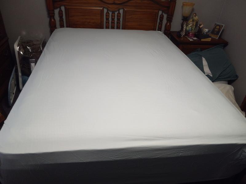 Fitted sheet only
