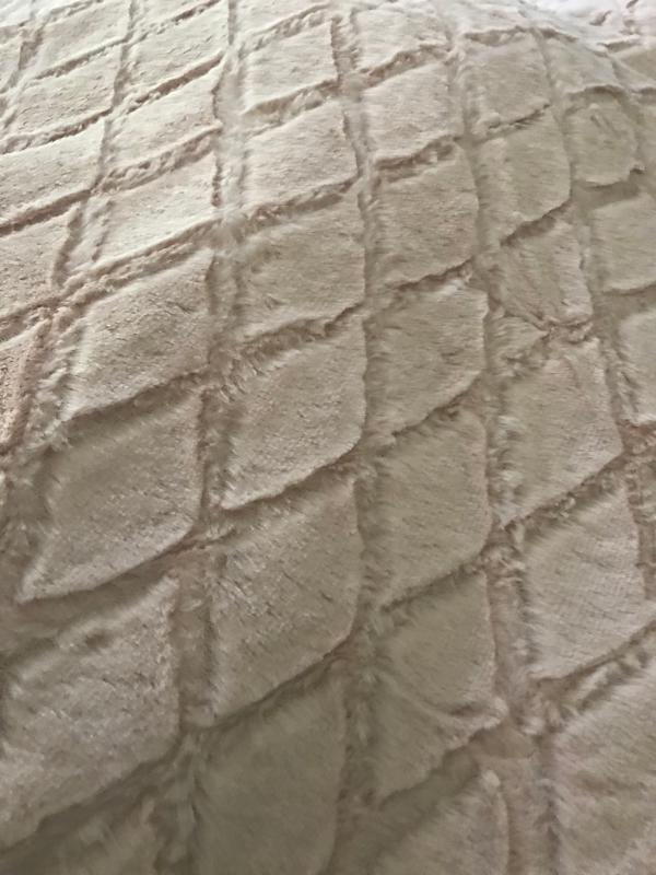 Photo from Evan1234