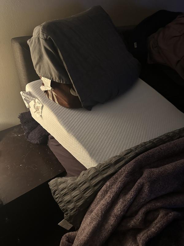 Macys wedge pillow sale
