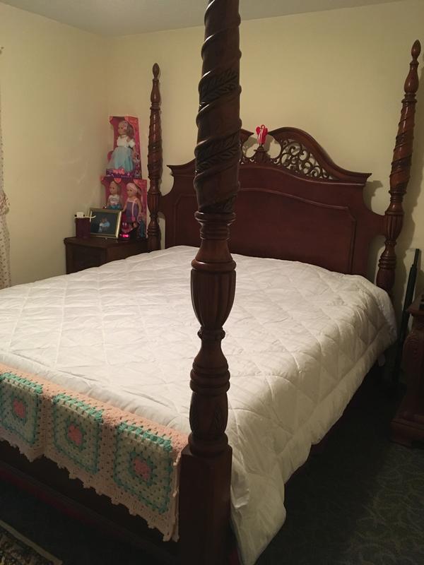 This is the most beautifulest 525 Thread Count All Season Cotton Rich Down Alternative Comforter I have ever seen and I was lucky enough to get to sample it free!