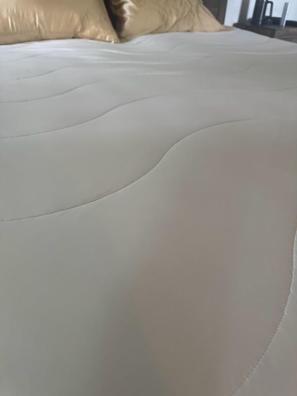 Photo from amyc1072_7287