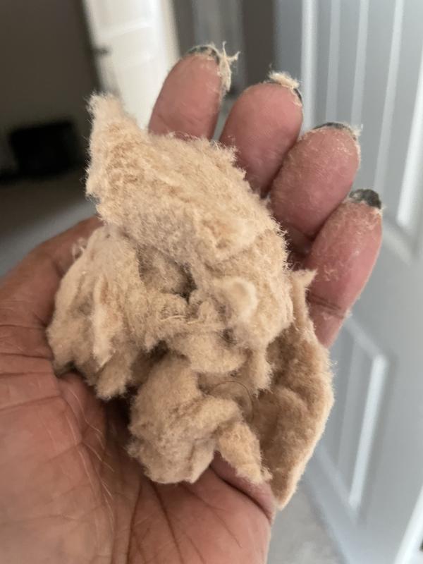 One hand of the three hands of fuzz in the dryer filter...