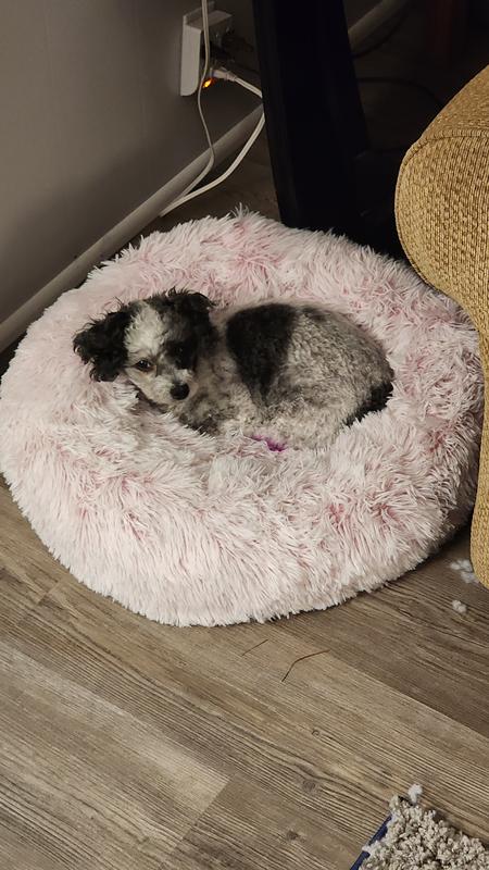 Pawsh donut outlet bed