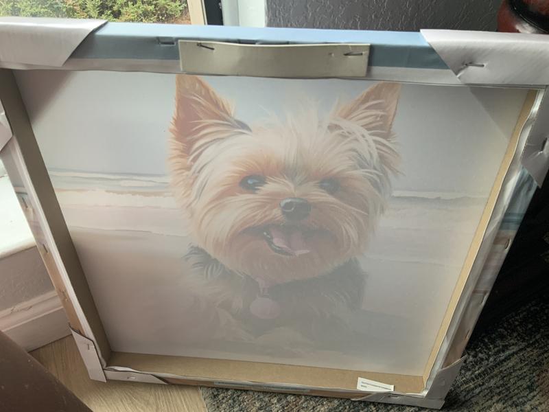 Back of canvas