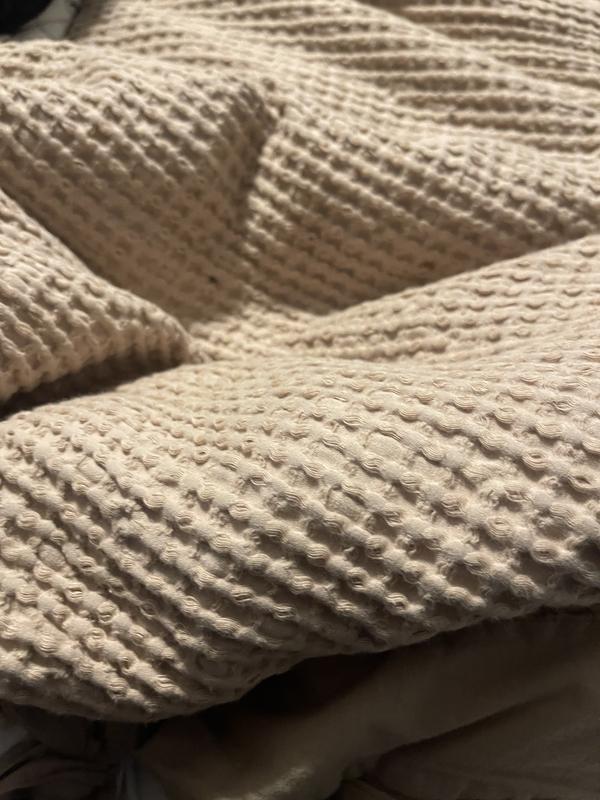 True North by Sleep Philosophy - All Season Oversized 100% Cotton Down Comforter With duvet cover