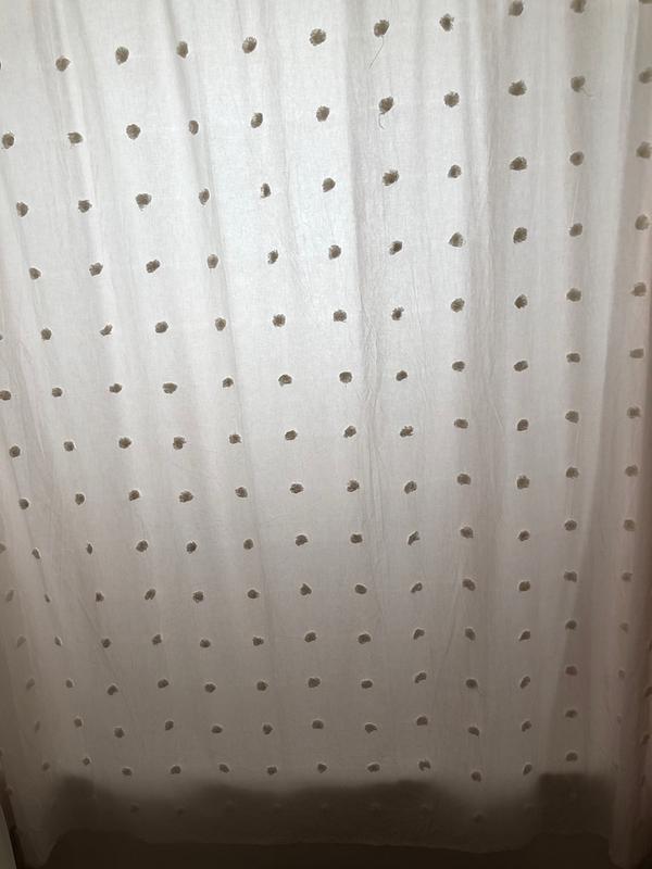 shower curtain