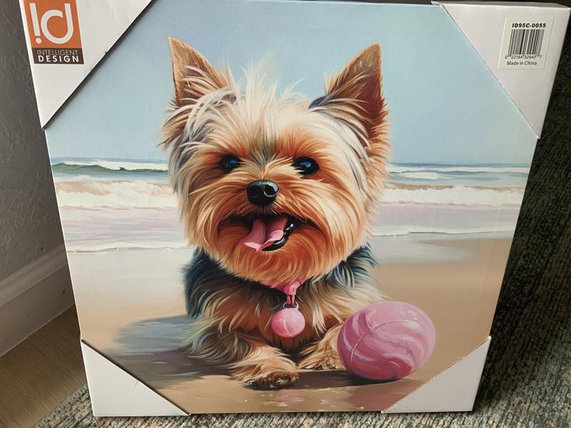Front of canvas.