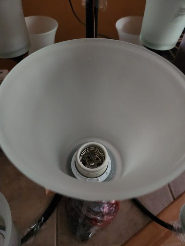 Photo from Katz76