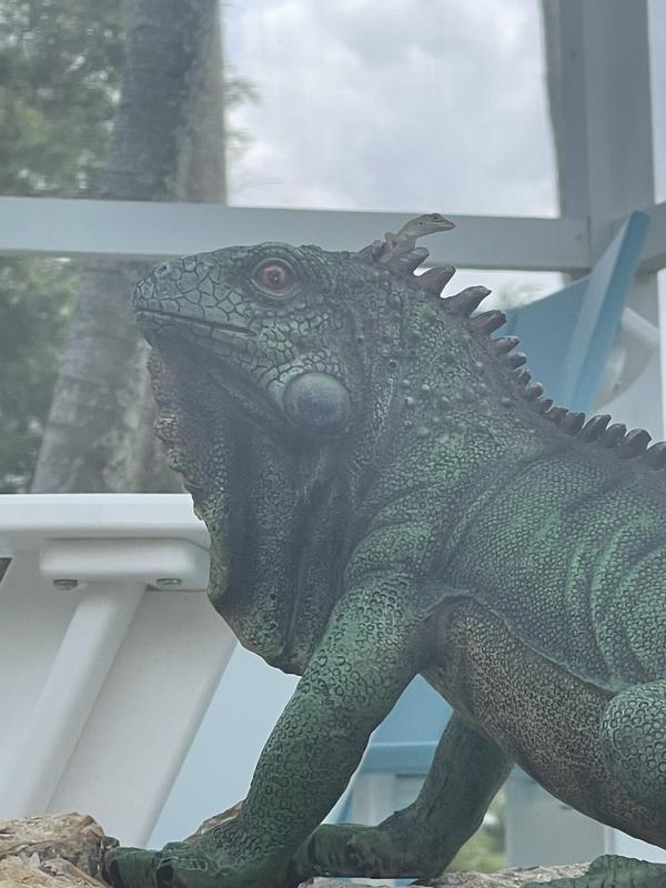 Iggy the Iguana Garden Statue - QL56991 - Design Toscano