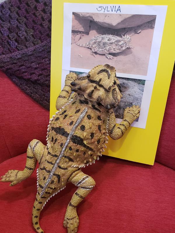 Texas Exotic Horned Lizard Garden Sculpture Horny Toad Statue Lizards