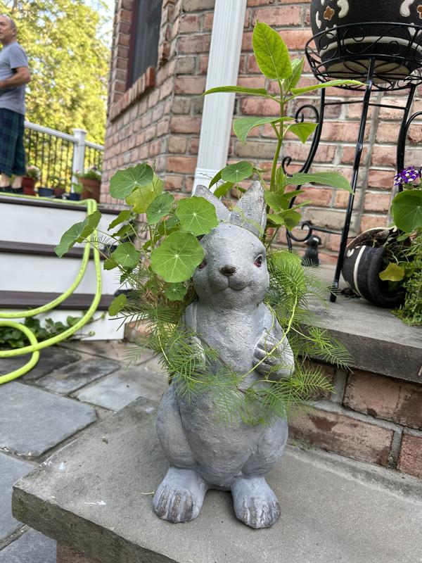 Bunny with Basket Bearing Gifts Easter Rabbit Statue