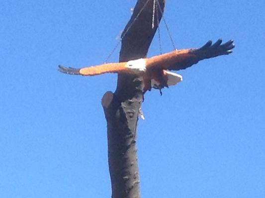 Flight of Freedom Hanging Eagle Sculpture - Design Toscano