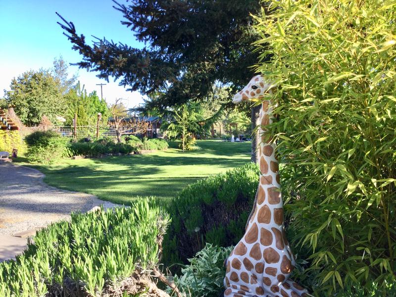 Eco-Friendly Mosaic Giraffe Tumbler – Fort Worth Zoo