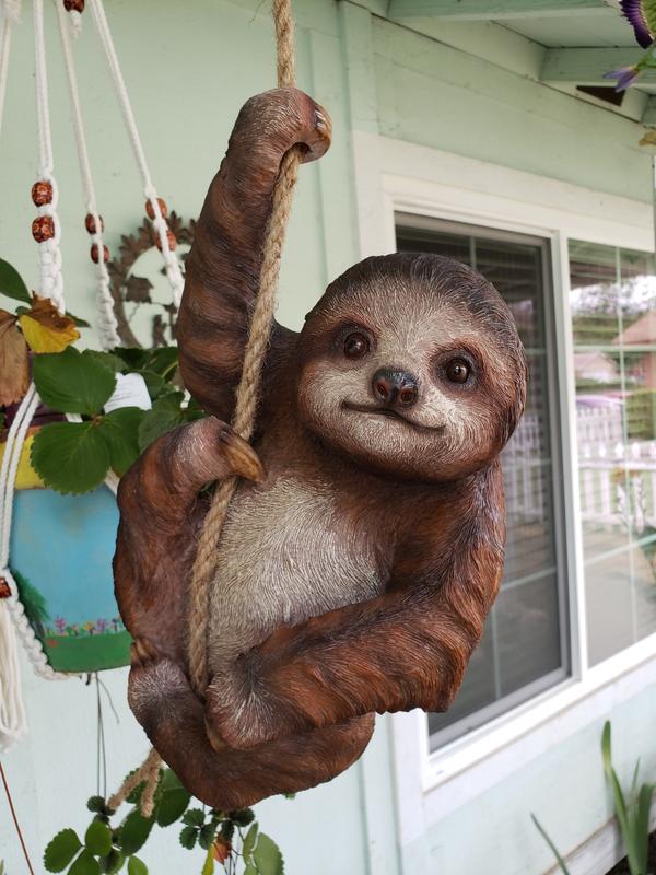 sloth hanging