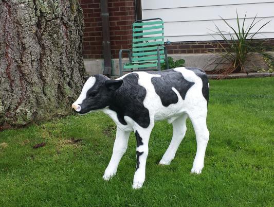 TOGO Premium Full Grain Cow Calf – THOL Fine Leathers™