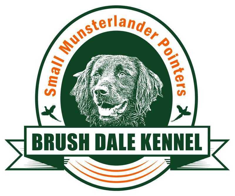 Brush Dale Kennel Small Munsterlanders