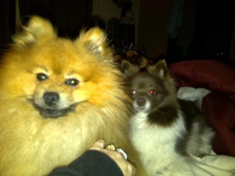 My lil sweetie’s Razzie and Peanut