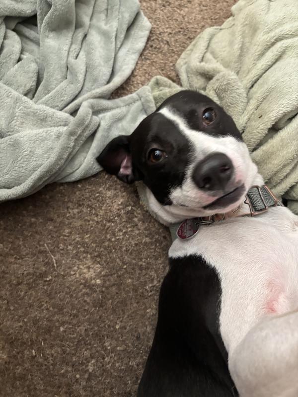 From our littlest…