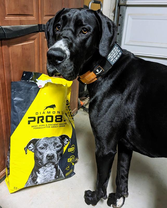 Pro 89 hotsell dog food