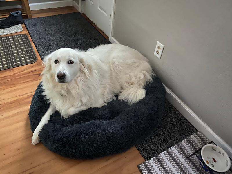 Resting after eating breakfast