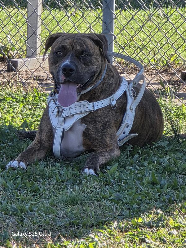 Our big boy