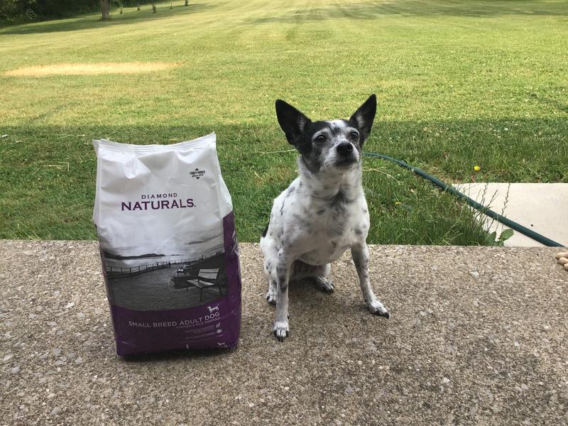 Diamond Naturals Small Breed Adult Dog Food Chicken Rice