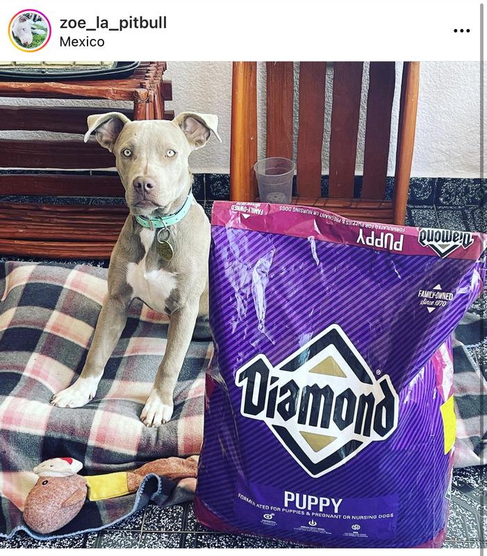 Diamond Puppy Formula Dry Dog Food